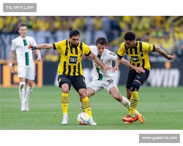 门兴主场氛围热烈，球迷支持助力球队寻找胜利机会